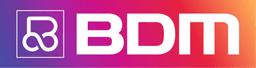 BDM Infotech